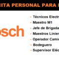 SE SOLICITA PERSONAL PARA B.BOSCH | JUNIO 2020