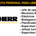 LIEBHERR INFORMACION DE PUESTO DE TRABAJO