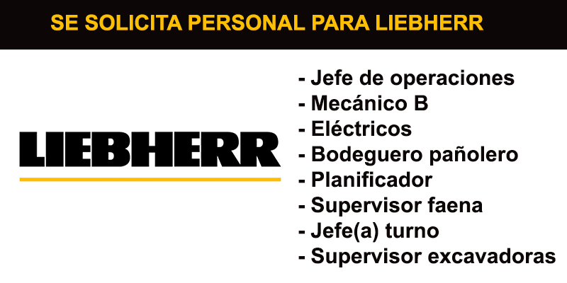 LIEBHERR INFORMACION DE PUESTO DE TRABAJO